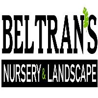 Beltran's Nursery & Landscape in Pine Island FL image 5